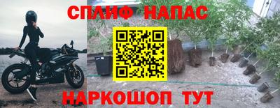Альфа ПВП Коммунар