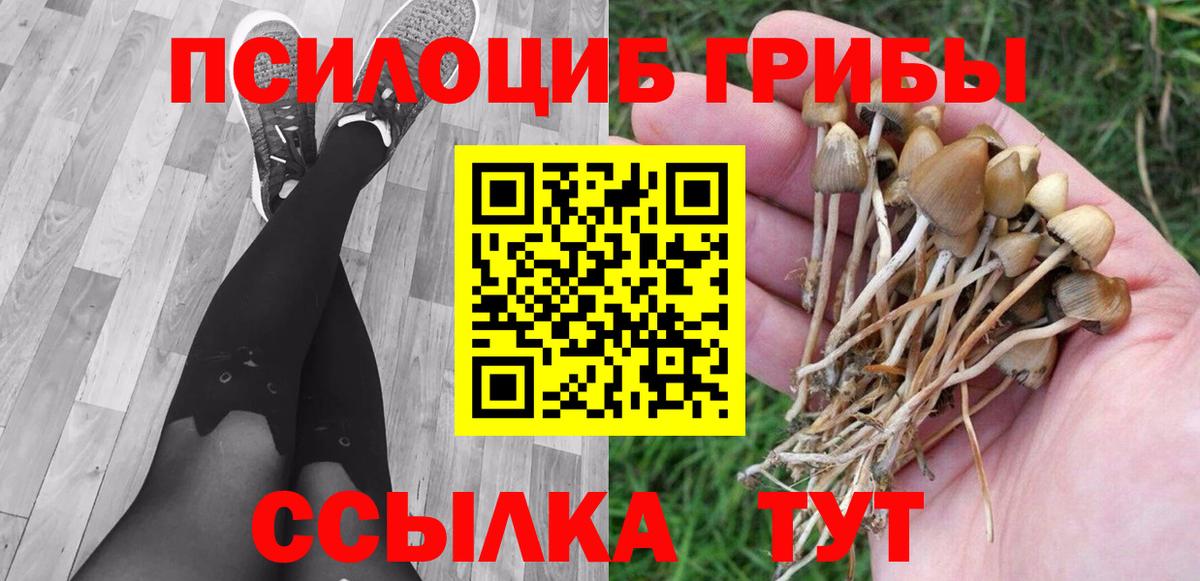 Псилоцибиновые грибы Psilocybine cubensis  Вход с VPN  Псилоцибиновые грибы мицелий  Анжеро-Судженск 