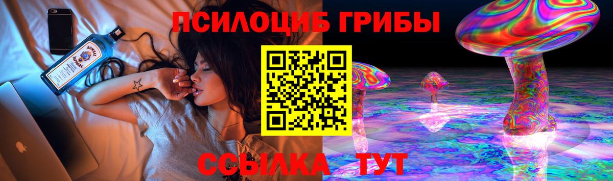 Галлюциногенные грибы мухоморы Анжеро-Судженск