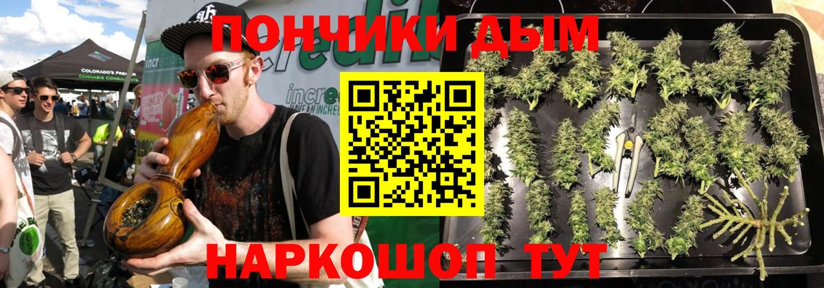 Каннабис план Анжеро-Судженск